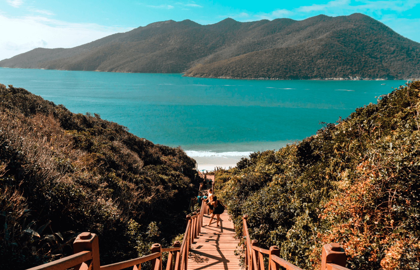 wooden-bridge-surrounded-by-sea-hills-covered-greenery-blue-sky-brazil 1920